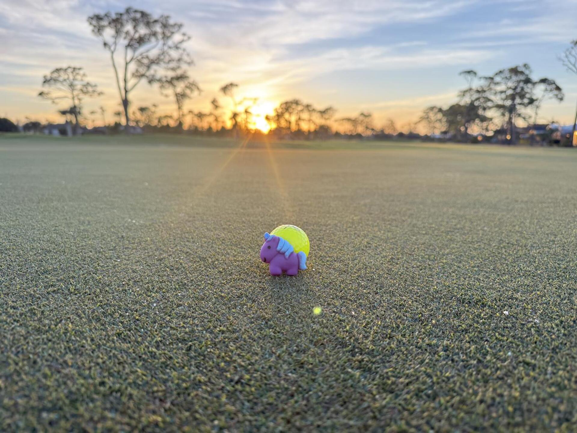 (Photo submitted by null on 01/31/2026)