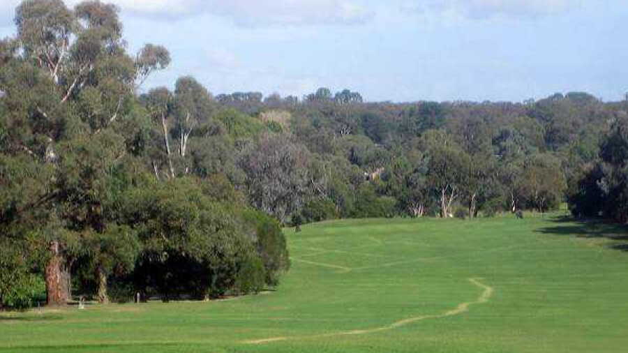 Ringwood GC