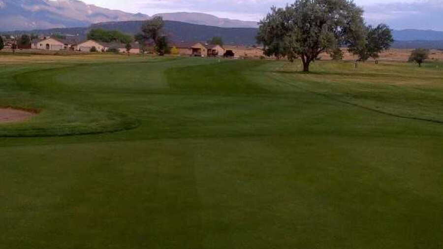 Hollydot GC