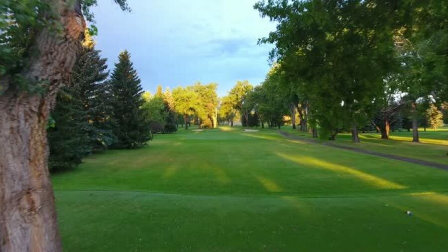 Buffalo GC: #10