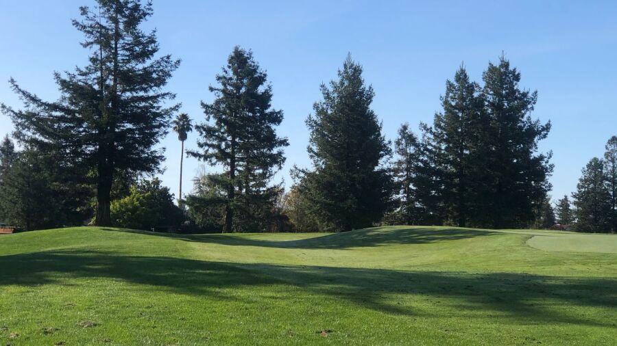 Foxtail GC
