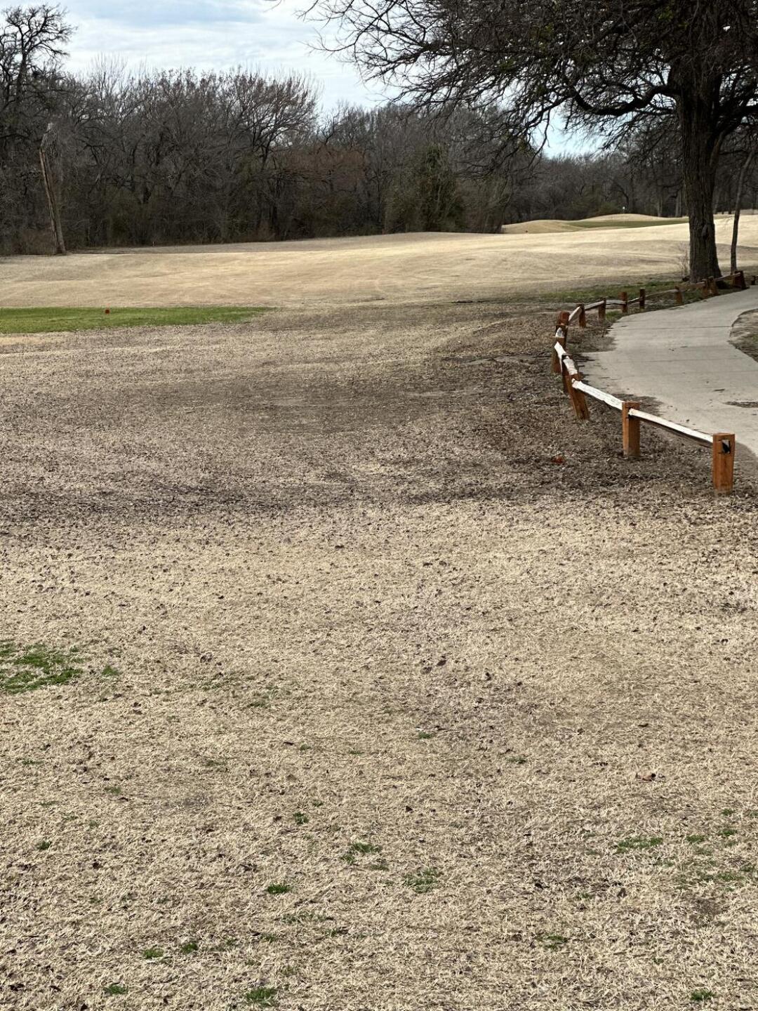 (Photo submitted by AJAhmed on 02/20/2023)