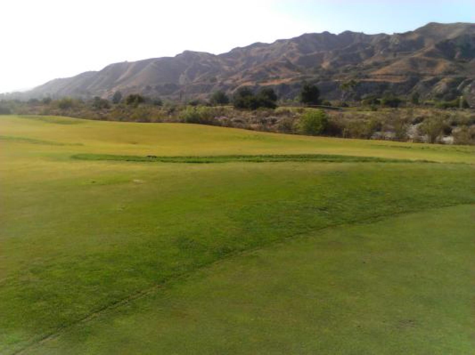 (Photo submitted by u000001877051 on 06/18/2014)