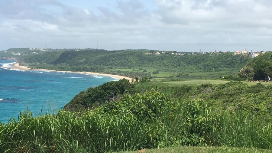 Royal Isabela