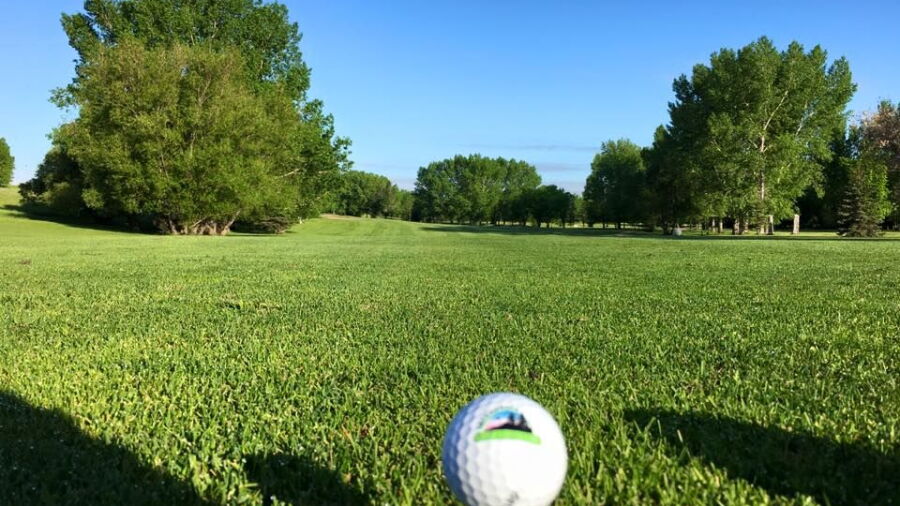 Minnedosa CC