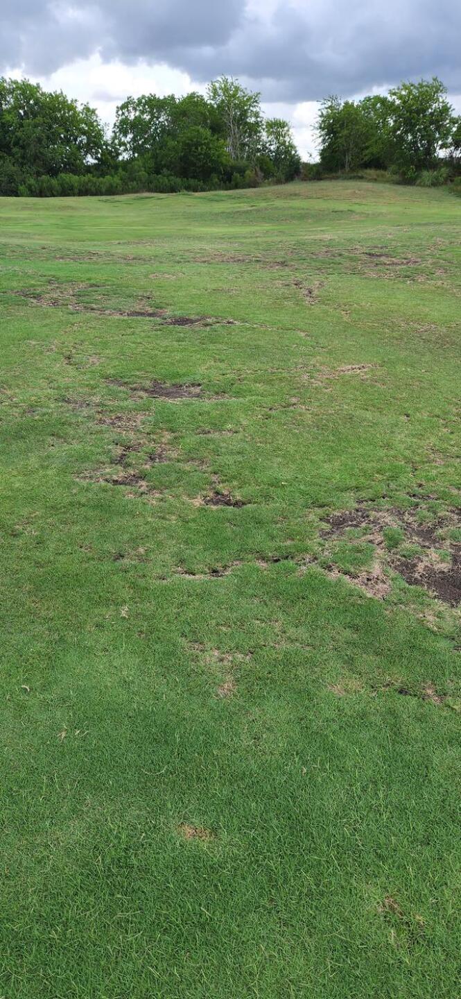 (Photo submitted by u5172873 on 08/07/2022)