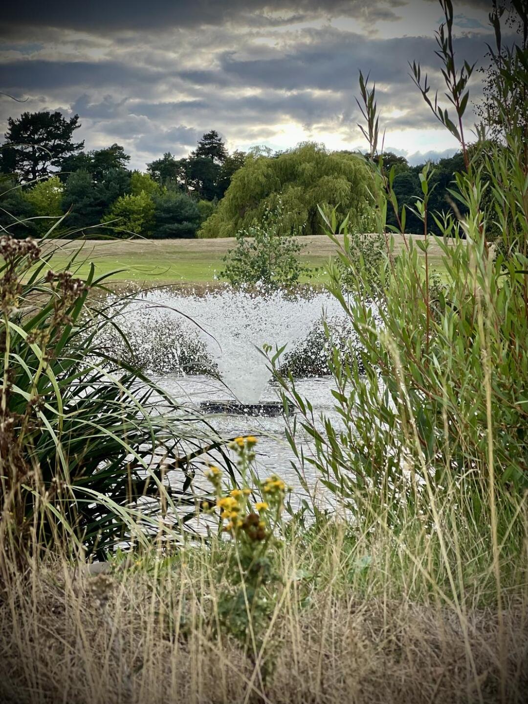 (Photo submitted by angistacker on 08/15/2025)