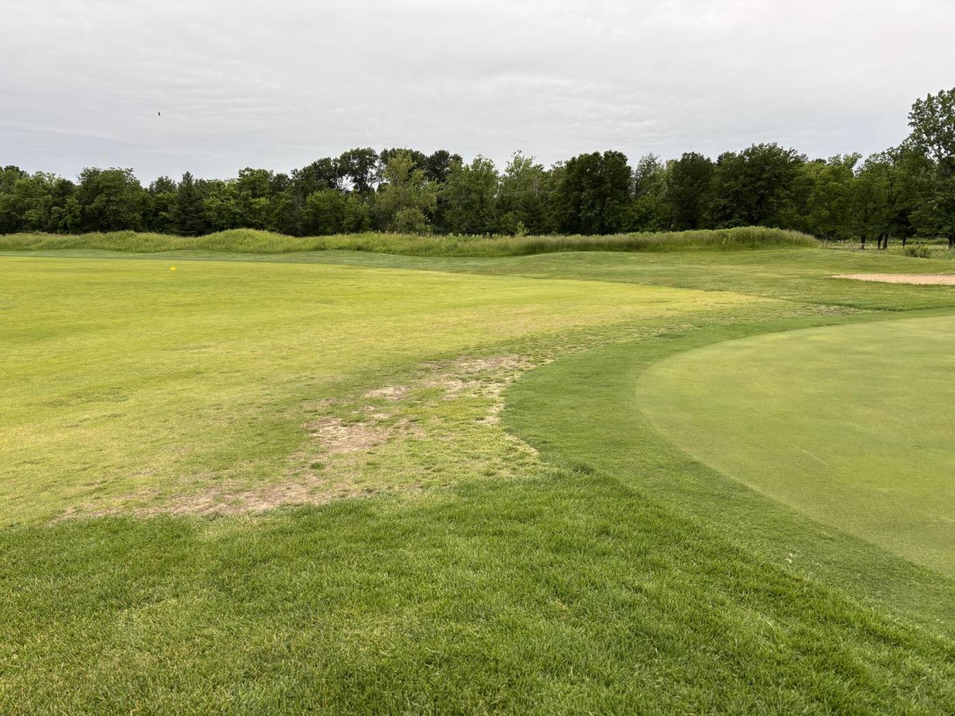 (Photo submitted by u314160197779 on 05/25/2025)