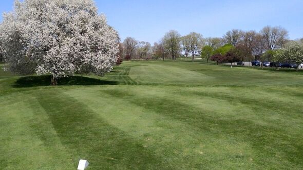 Warfield Greens Golf Club Utica Michigan Golf course information