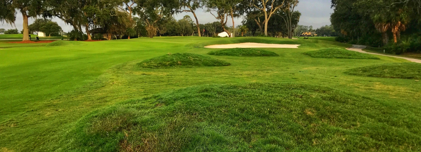 sea-island-plantation-travis.jpg