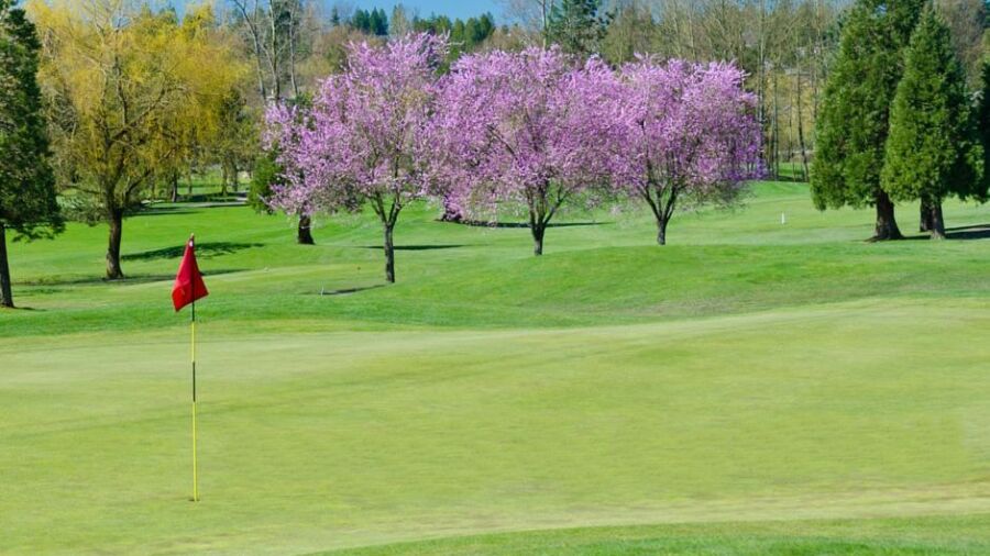 Miami Springs GCC