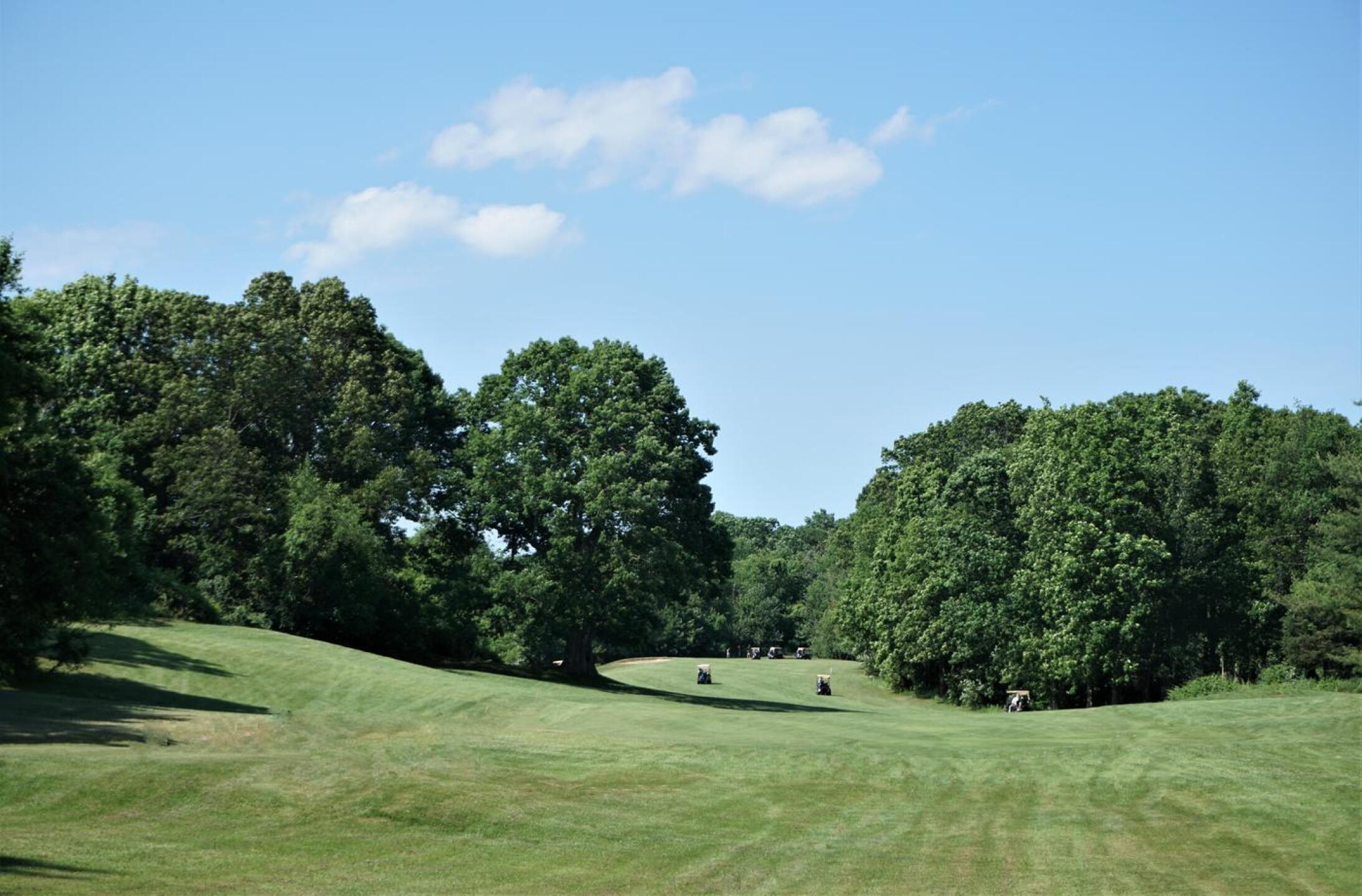 Fifth: A tough hole made tougher by a tight driving areas. Notice: 3 carts per foursome (Covid adaptation). (Photo submitted by AptlyLinked on 06/12/2020)