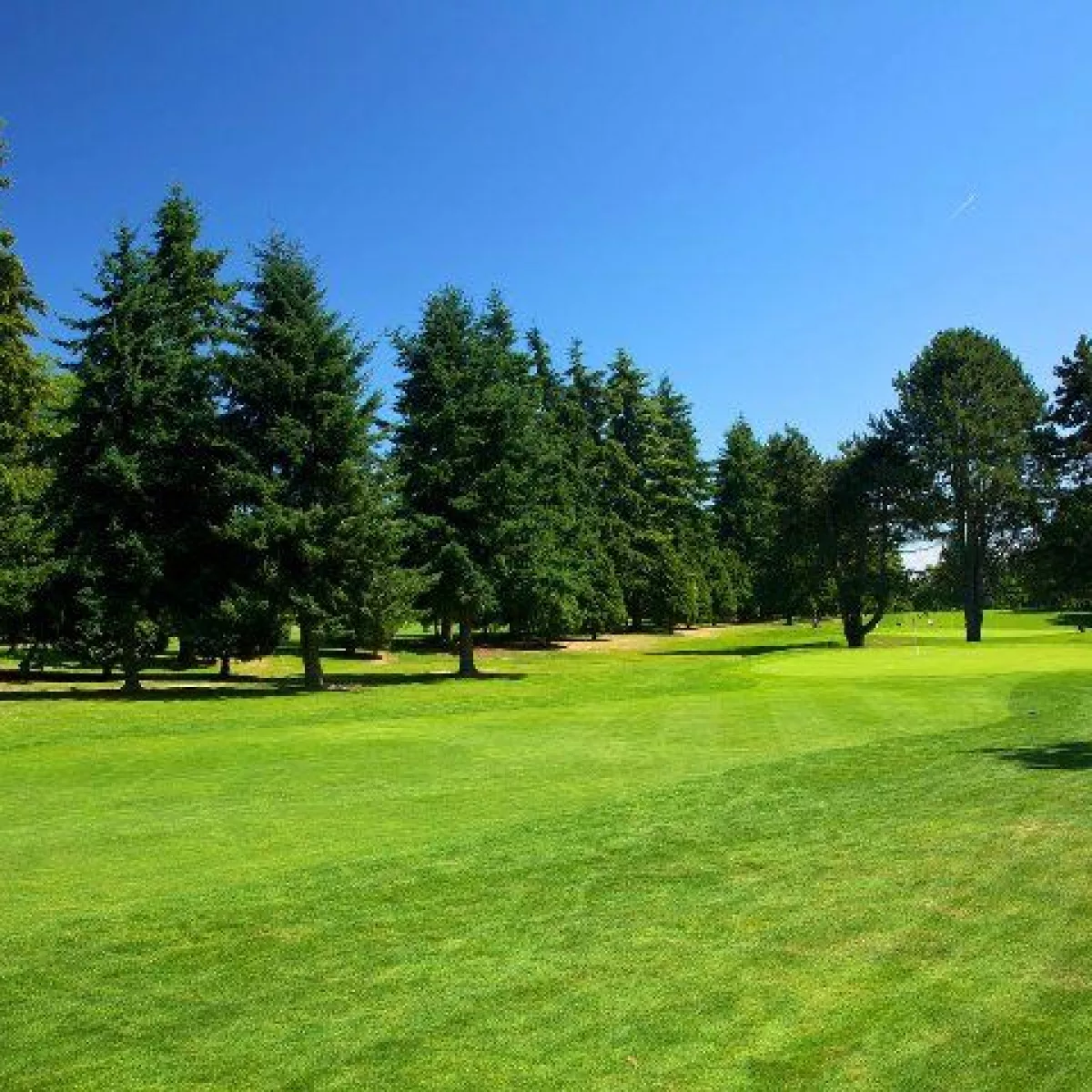 Par 3 at Jefferson Park Golf Club in Seattle, Washington, USA GolfPass Par 3 at Jefferson Park Golf Club in Seattle, Washington, USA GolfPass