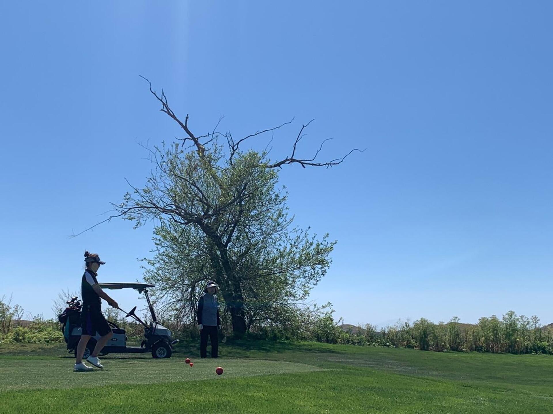 (Photo submitted by u314162158975 on 04/16/2022)