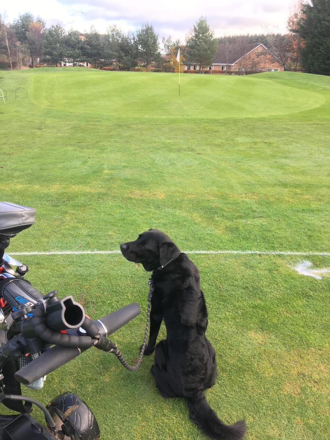 (Photo submitted by u7598333 on 11/15/2021)