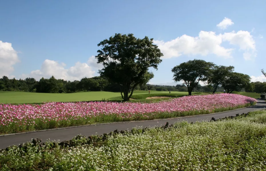 Blackstone Golf & Resort