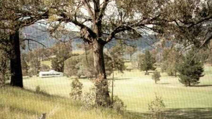 Murrurundi GC