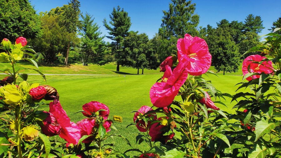 Maple Moor GC: Practice area