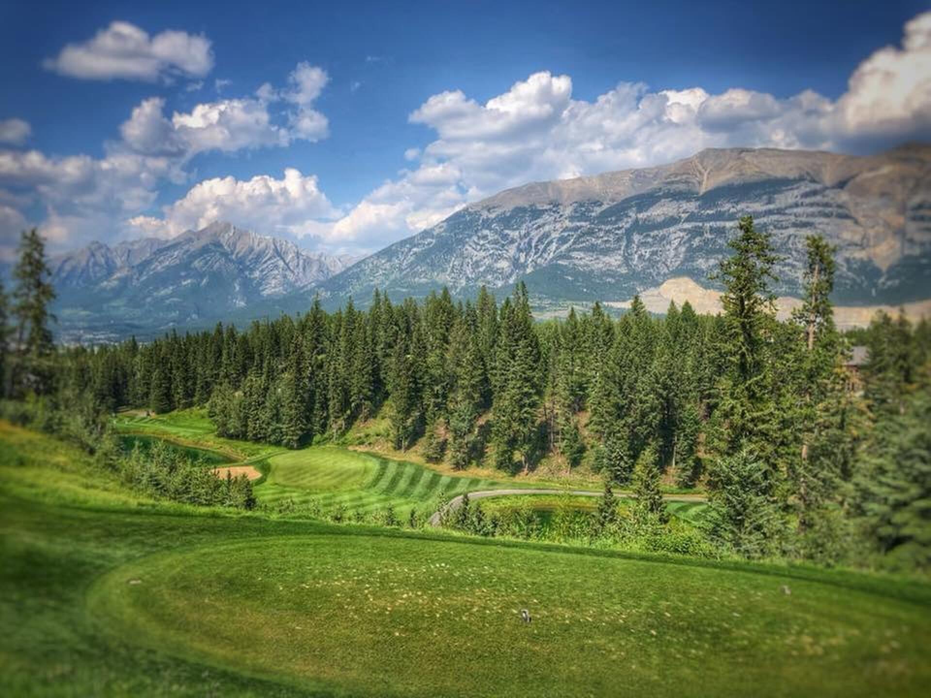 The incredible #9 - one of my favorite par 3s ever (Photo submitted by Ienjoygolfing75 on 08/05/2018)