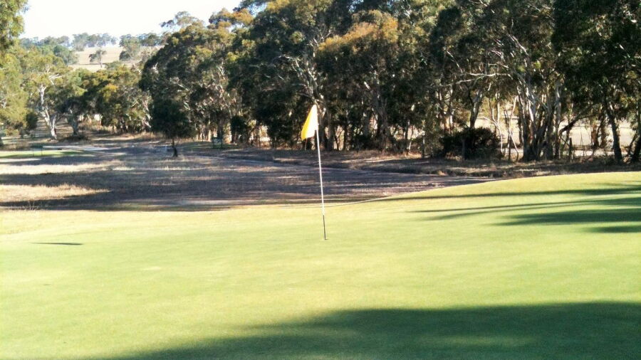 Strathalbyn GC: #7
