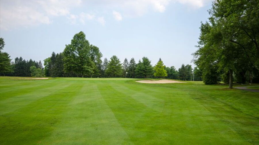 The Haven CC: #5