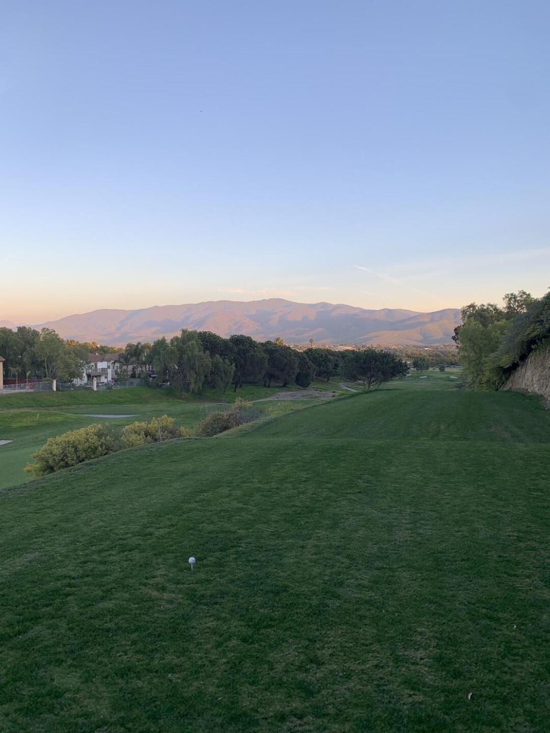 (Photo submitted by 0MEyOJ7yNarxjHlk6aCJ on 06/21/2023)