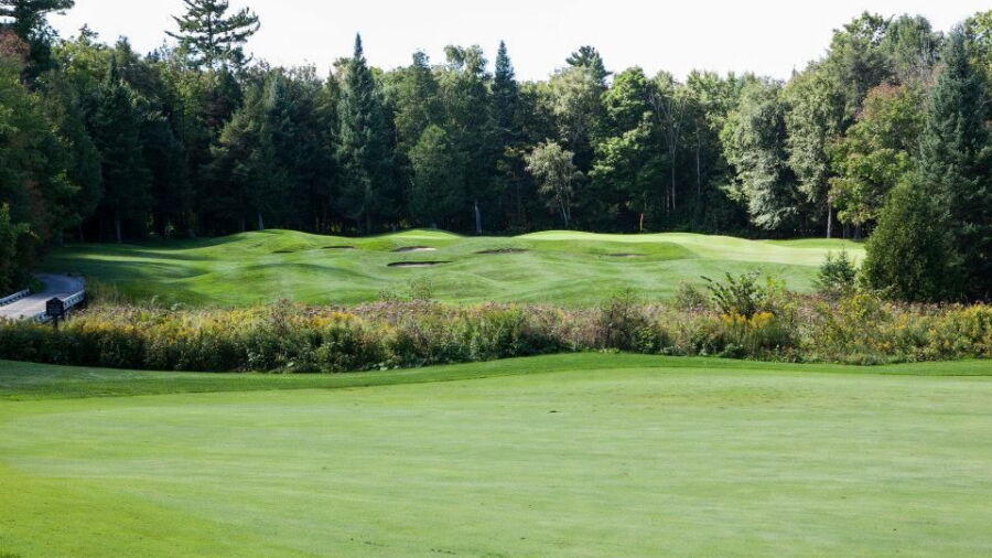 National Pines GC