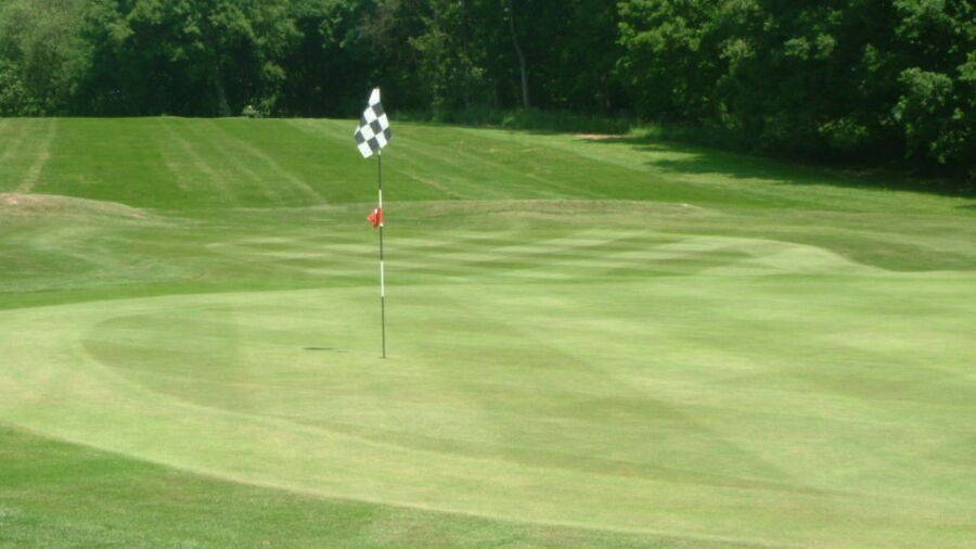 Putting green from Dorking GC