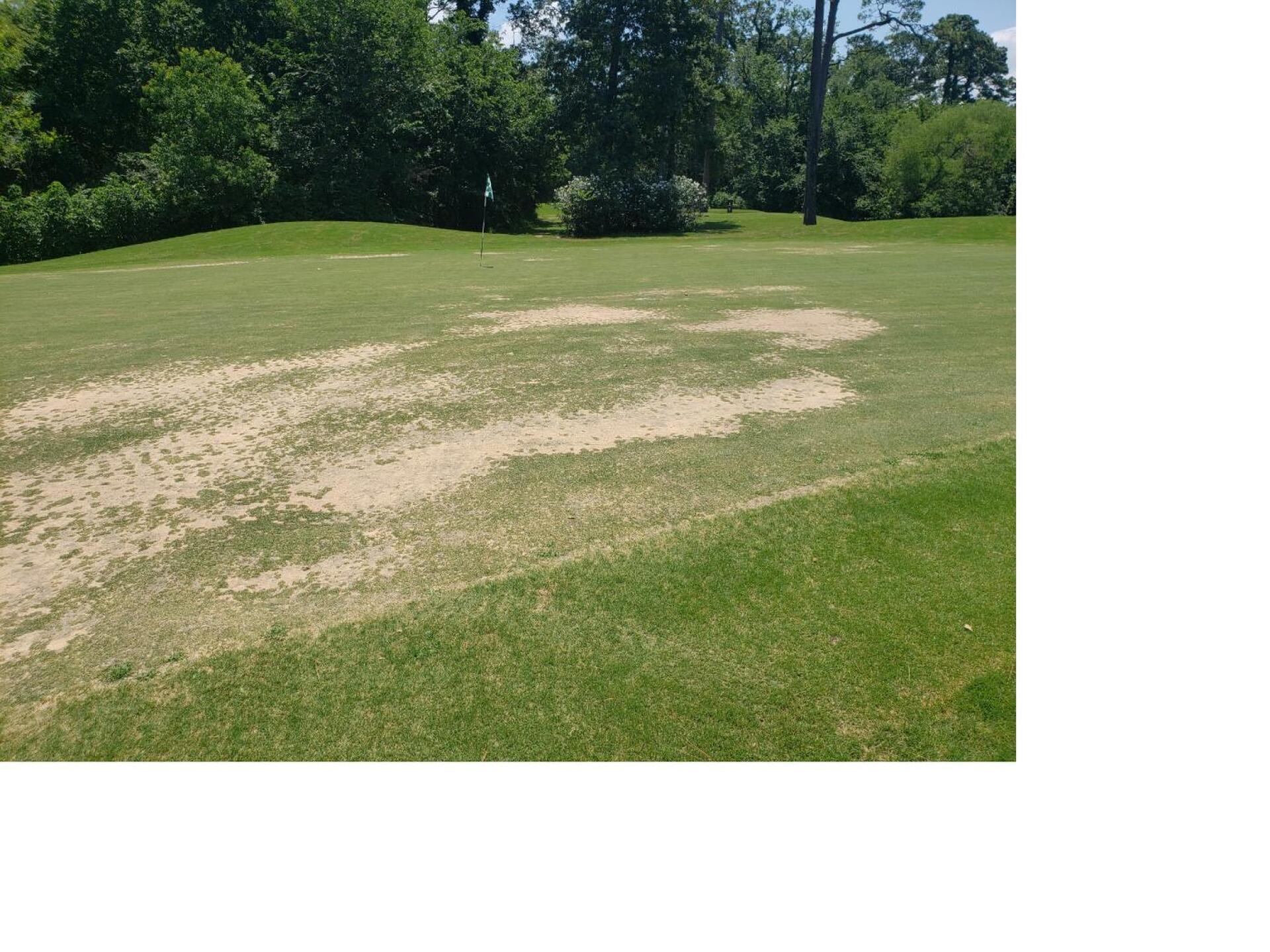 (Photo submitted by kimbrellrw on 06/12/2019)