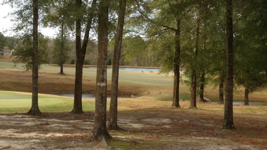Tartan Pines GC