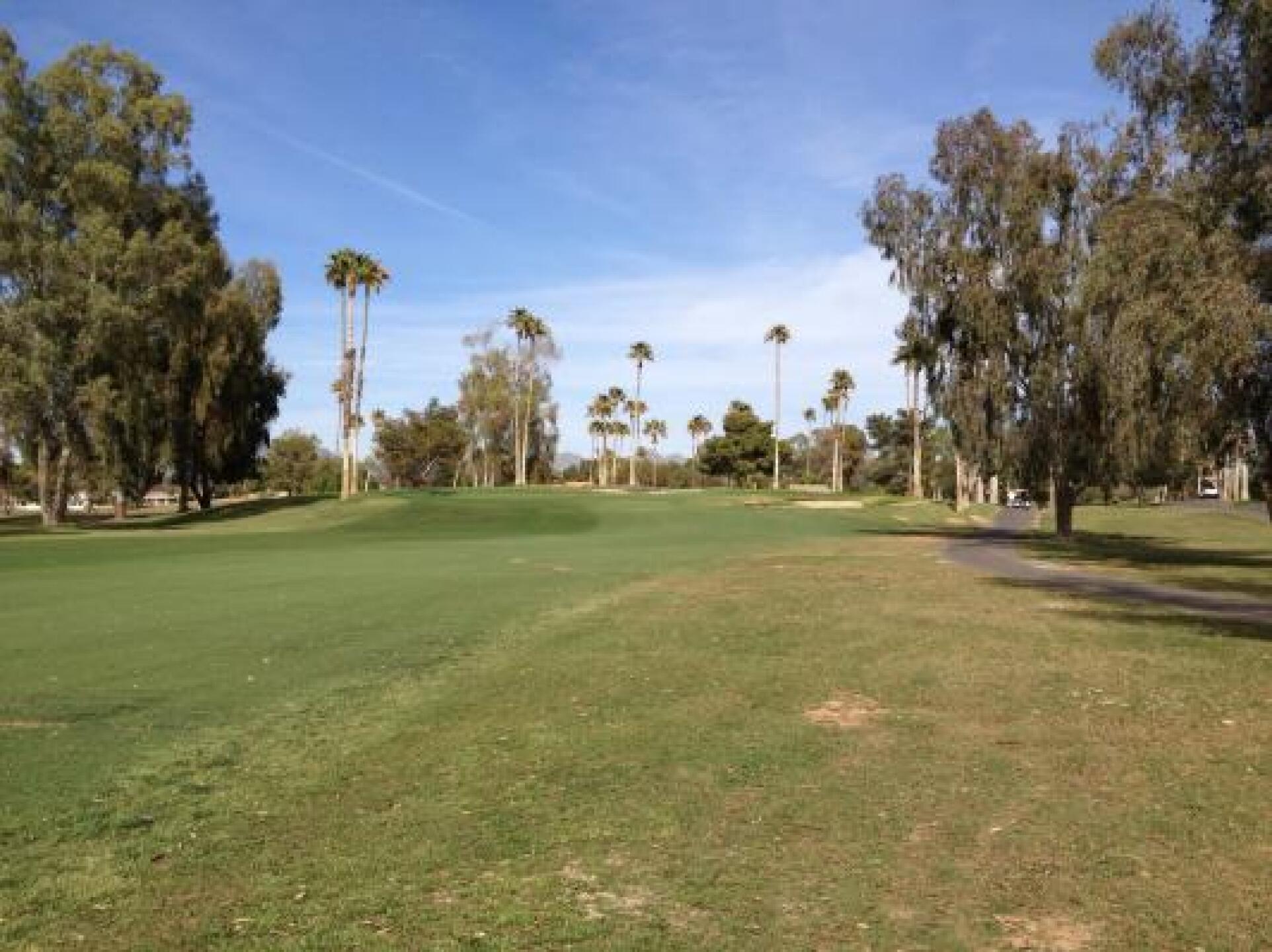 Palm Course - McCormick Ranch (Photo submitted by tainge on 03/29/2013)