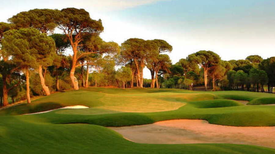 Nandi Bears GC
