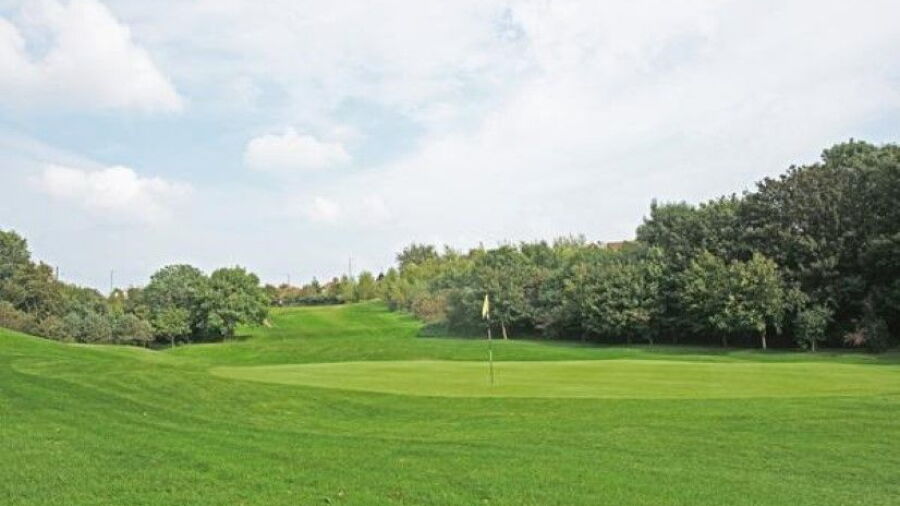 Billingham GC: 5th green
