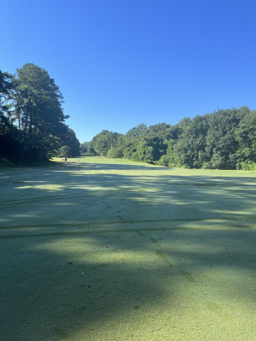 (Photo submitted by amehefko on 08/18/2023)