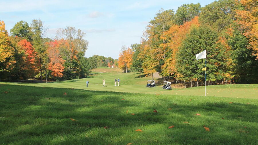 Wedgewood GCC: #6