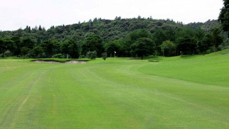 Shimadzu GC: #13