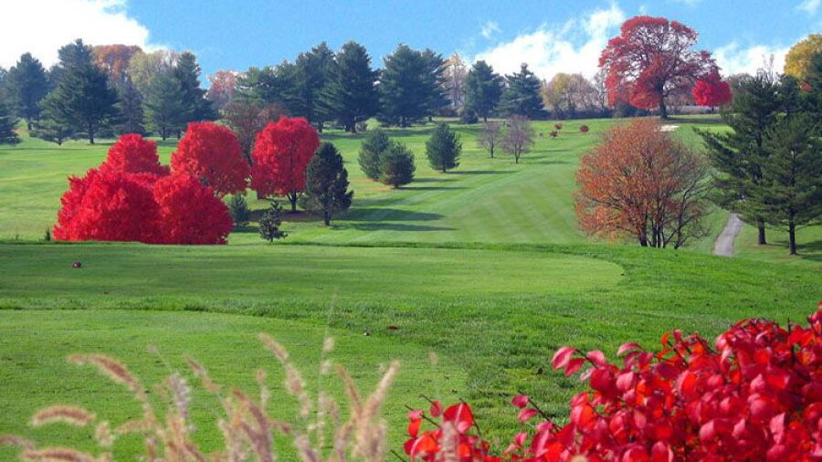 Piney Branch CC: #10