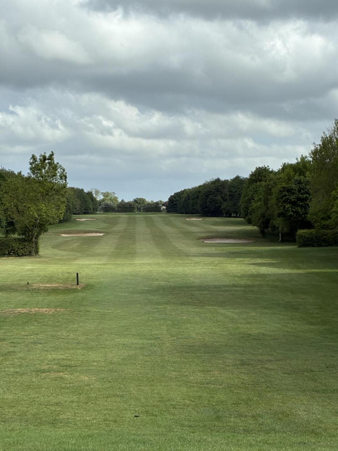 (Photo submitted by Matdix on 05/20/2025)