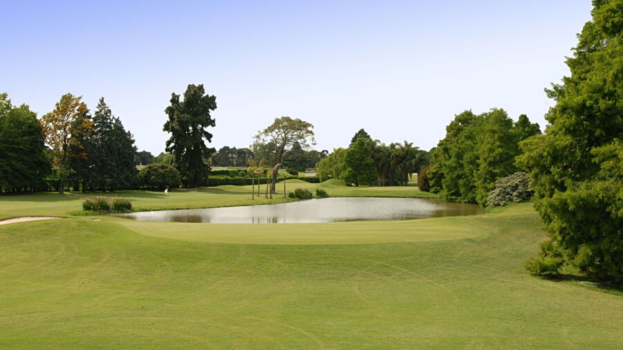 Jockey GC