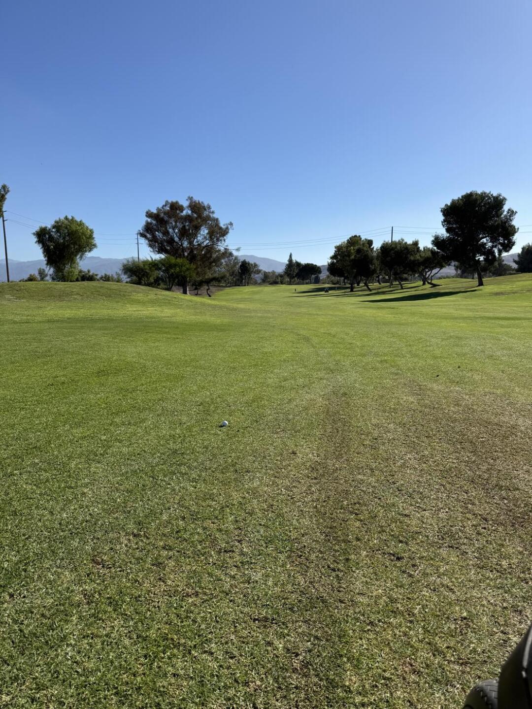 (Photo submitted by Baint1 on 10/12/2025)