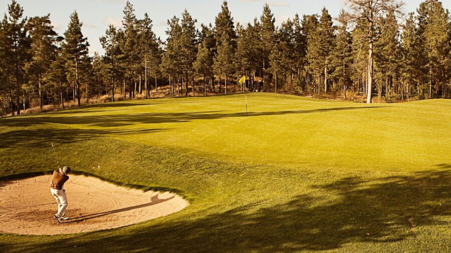 Hirsala Golf