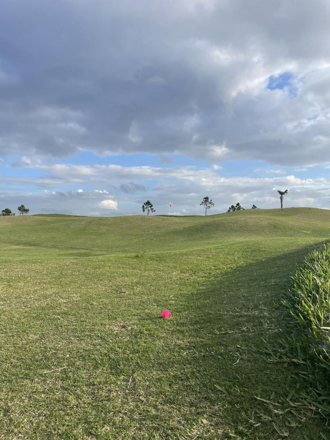 (Photo submitted by Mi8vhqKdzqhqgZ3xXNFs on 01/19/2024)