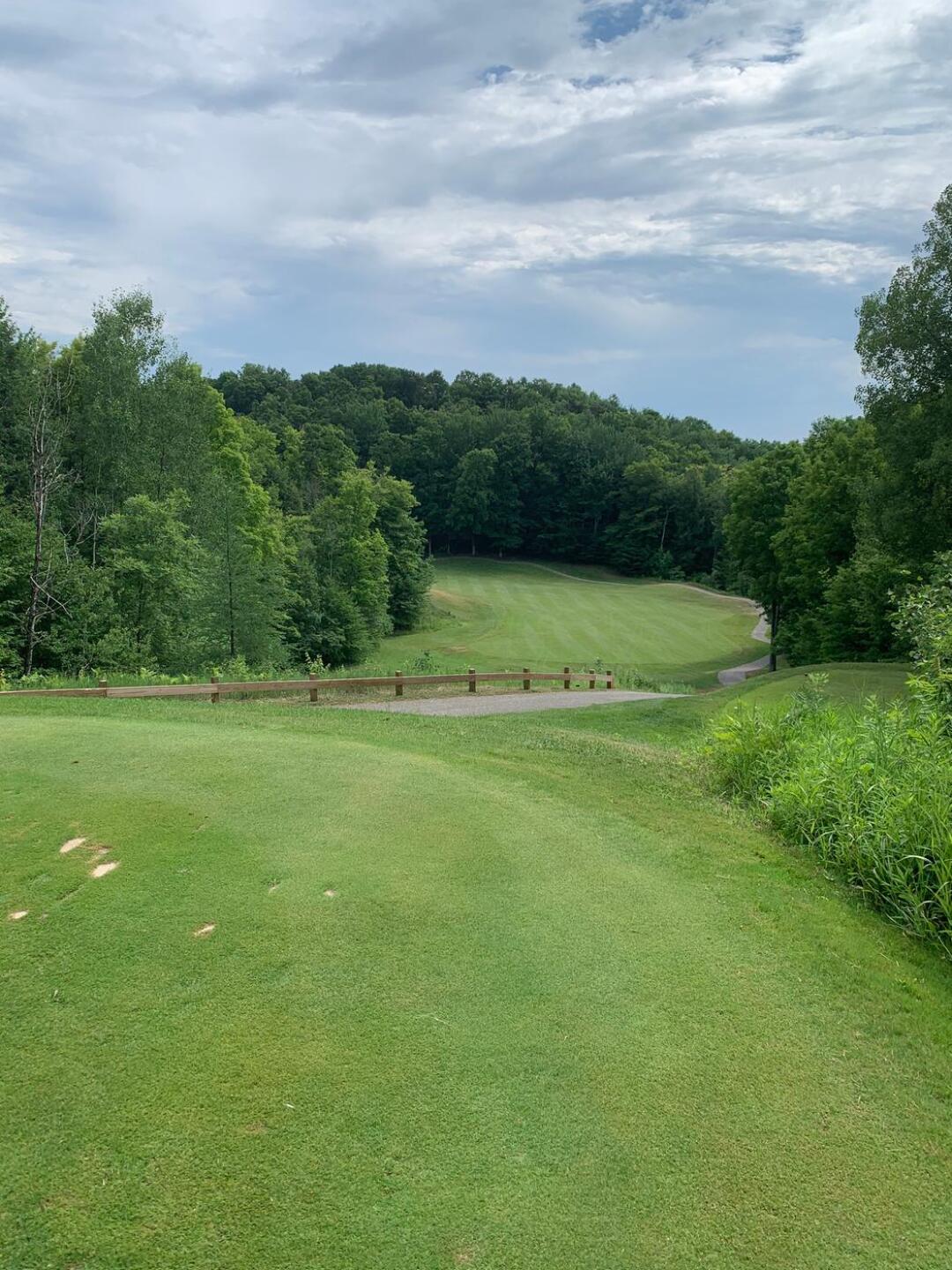 (Photo submitted by maryfh on 07/11/2020)