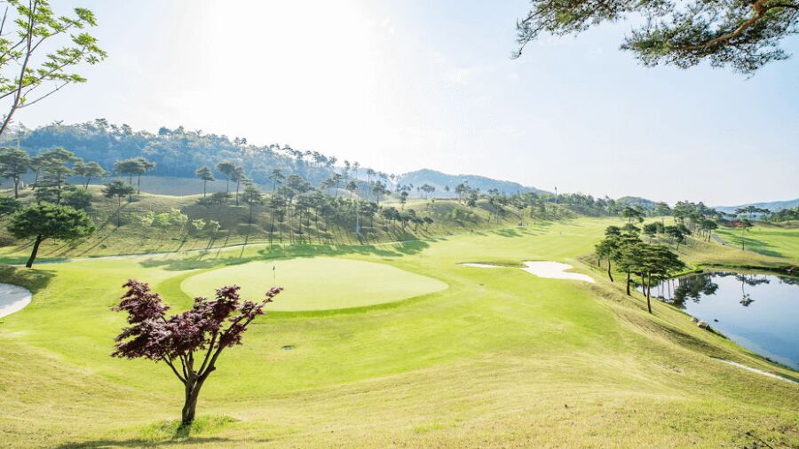 Baekje CC - Sabi: #5