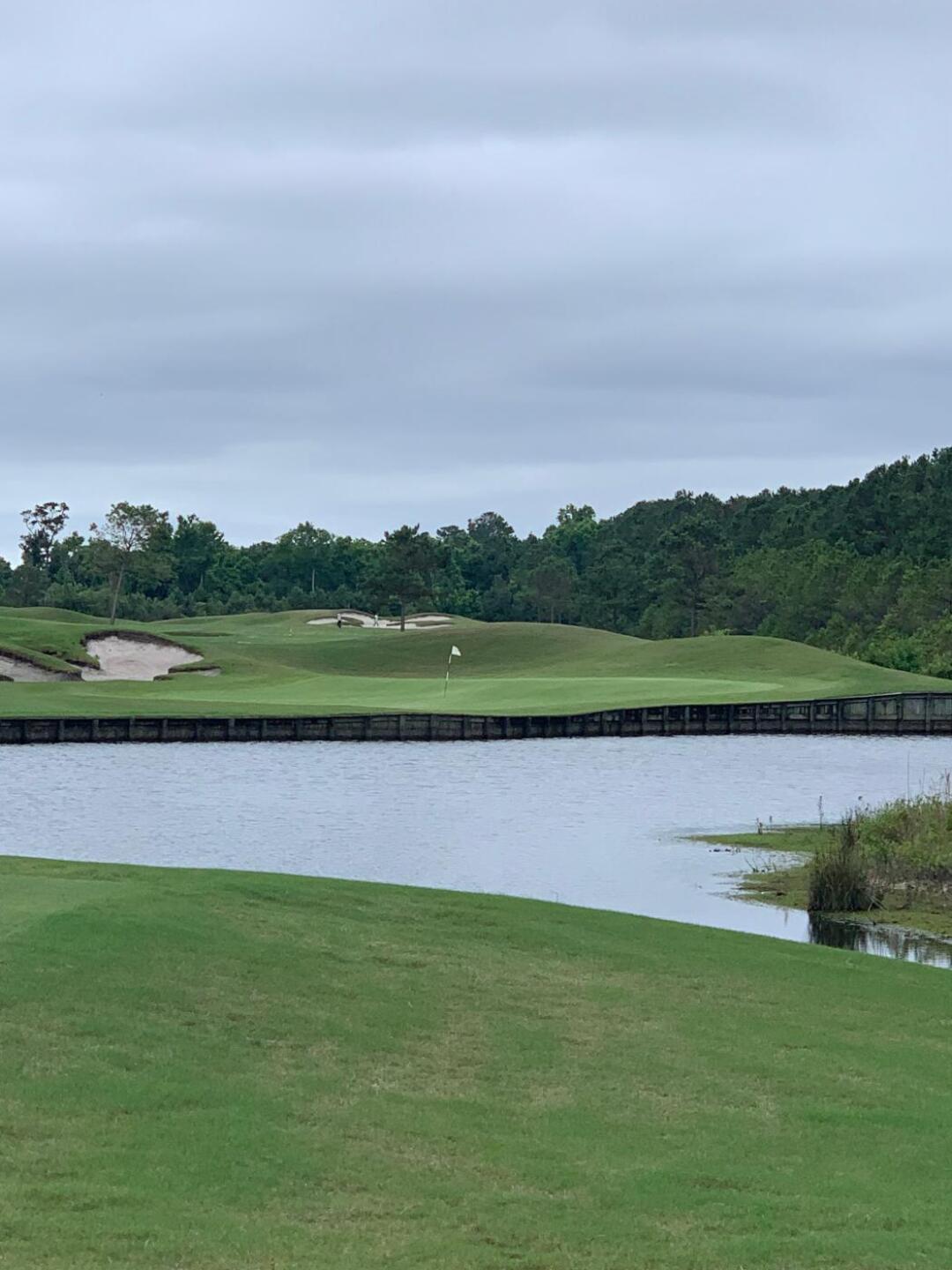 (Photo submitted by MichaelLowe on 06/11/2019)