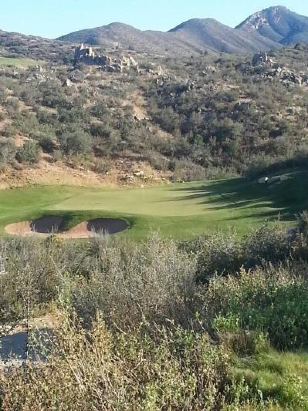 #12 from the golds (Photo submitted by tomkalafut on 10/14/2013)