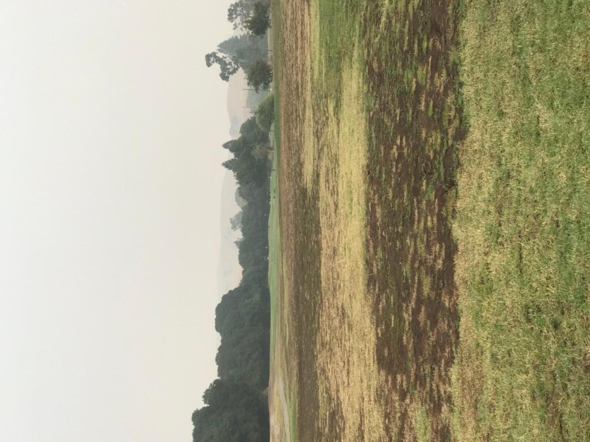 Fairway (Photo submitted by Rohlstrom on 09/11/2020)