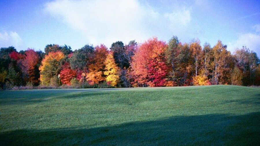 Viking Meadows GC