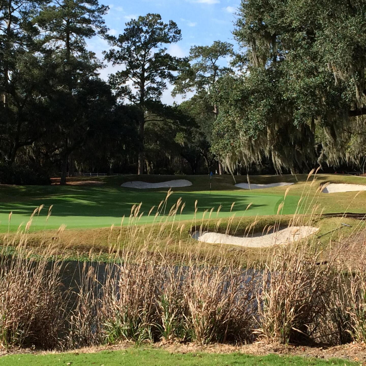 Par-5 eighth green (Photo submitted by BrandonWebb on 01/08/2017)