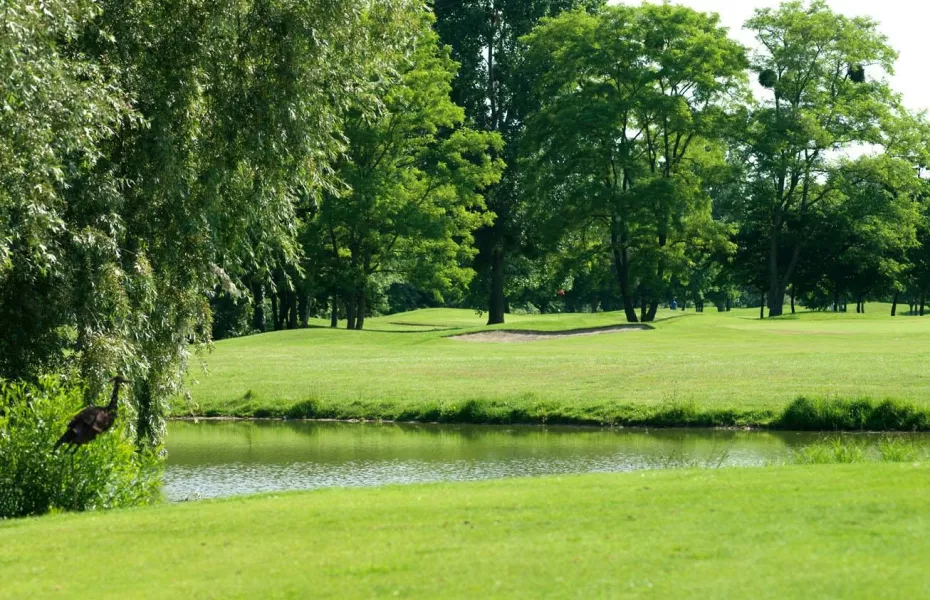 l'Ile Fleurie GC
